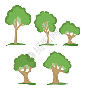 五象湖公园五棵绿树自然插画