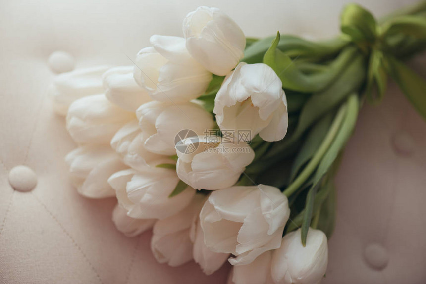 春天花白色郁金香花束图片