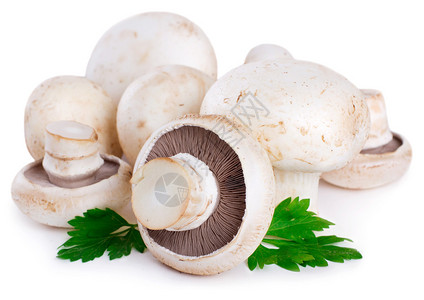 白底蘑菇在白底面隔离图片