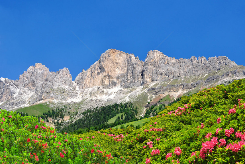 多洛米特山峰罗森加滕瓦迪法萨意大图片