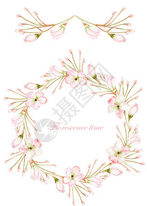 在白色背景贺卡装饰明信片或邀请函上漆成水彩色的粉红色花朵图片