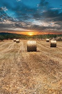 新鲜的干草田美丽的日落图片