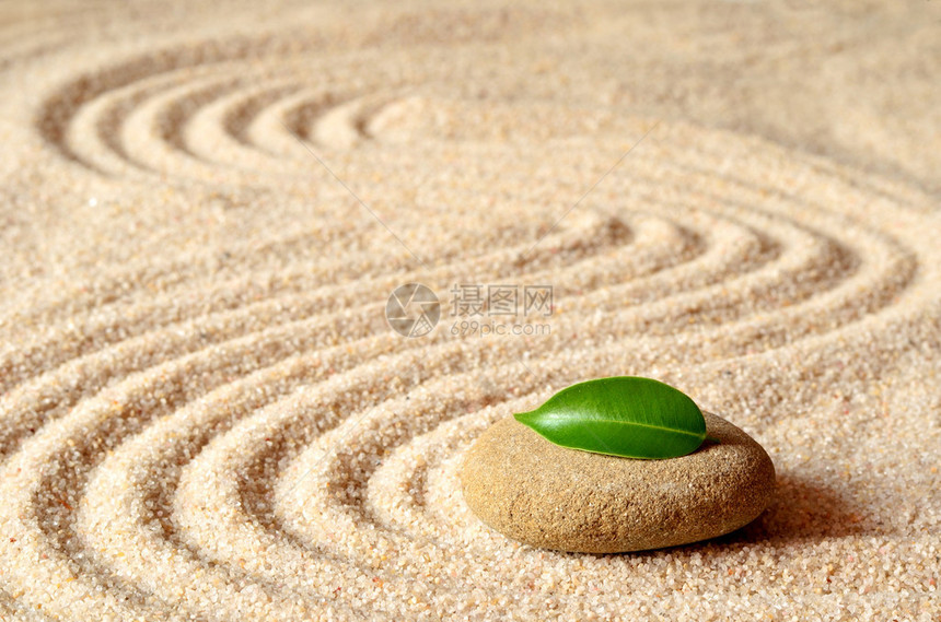 在沙上有圆圈和波涛有绿石图片