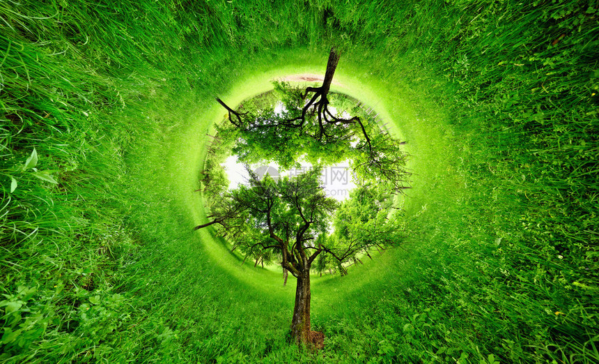 绿地的形分布图树丛360度全图片