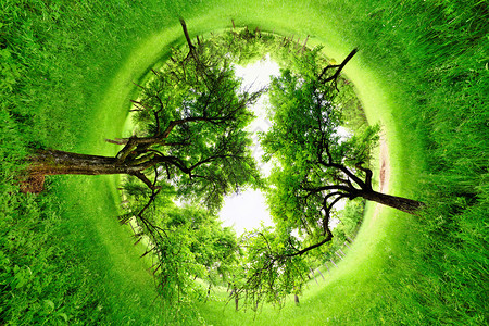 绿地的形分布图树丛360度全图片