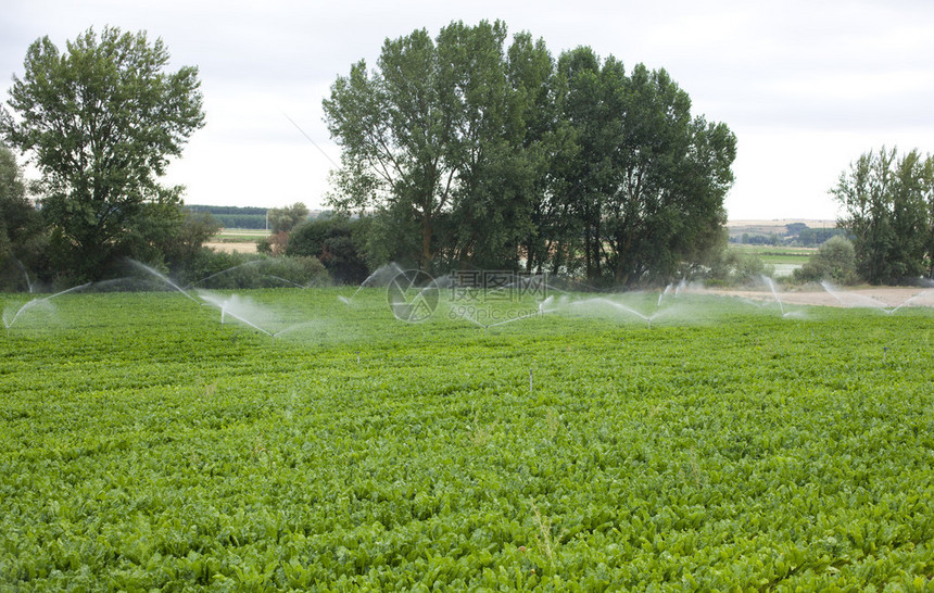 田间灌溉西班牙乡村图片