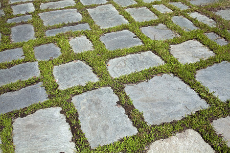 种植草坪和石板院阳光明媚的绿地铺路图片