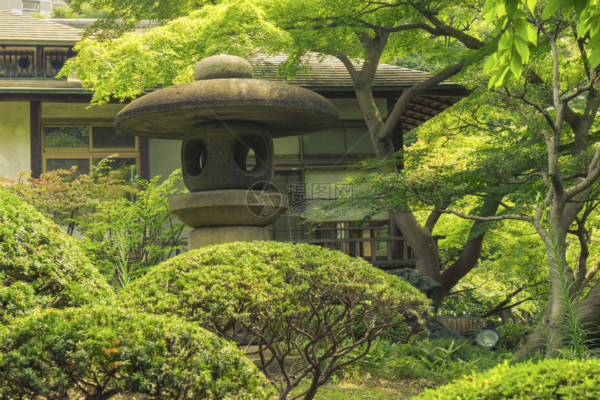 日本禅园夏日大石图片