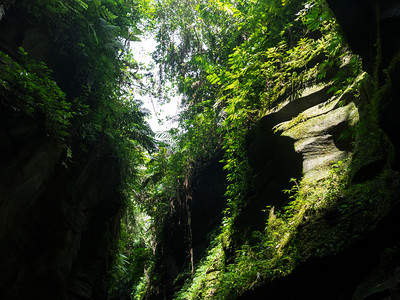 洞穴瓦努阿图图片