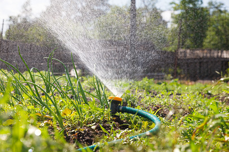 为灌溉植物浇水的花园设备喷水管喷水在图片