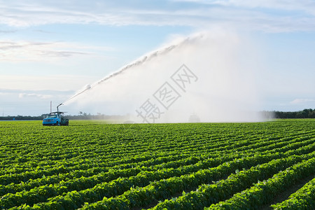 灌溉农田以确保作物质量图片