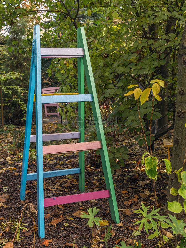 花园里五颜六色的木梯图片