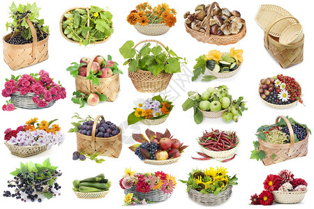 果实蔬菜花卉和蘑菇在维基篮子图片