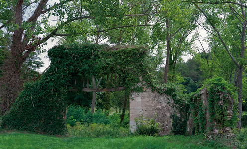 用植被盖的老石墙和庭院门图片
