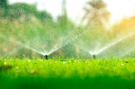 自动草坪洒水器浇灌绿草带自动系统的洒水器花园灌溉系统浇灌草坪可调节喷头的自动喷水灭火系背景图片