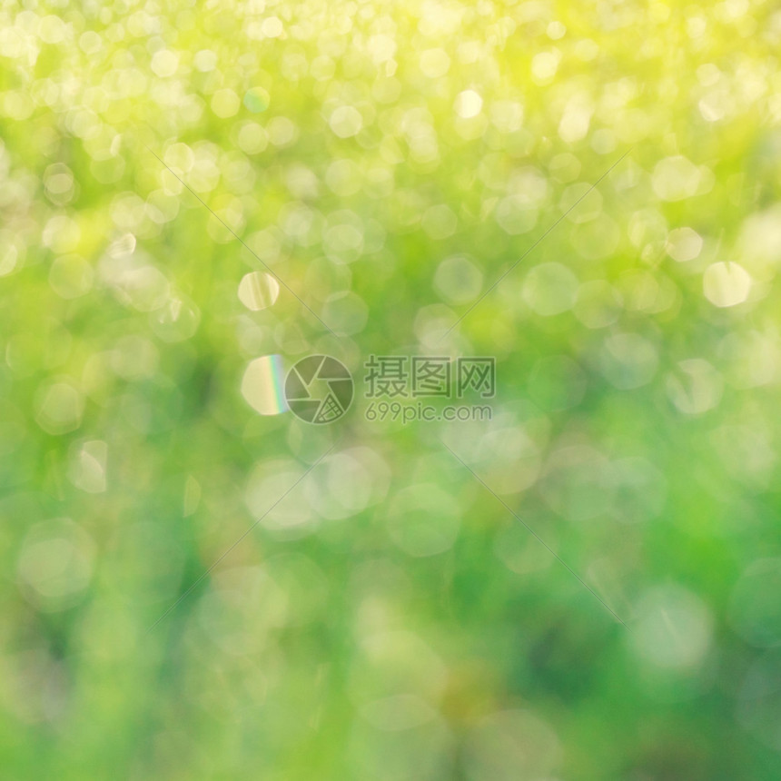 绿草散景背上的露珠图片