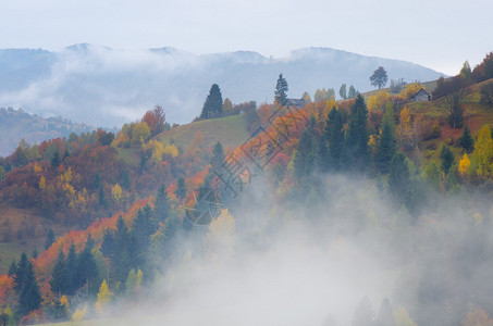 山村的雾秋天的风景图片