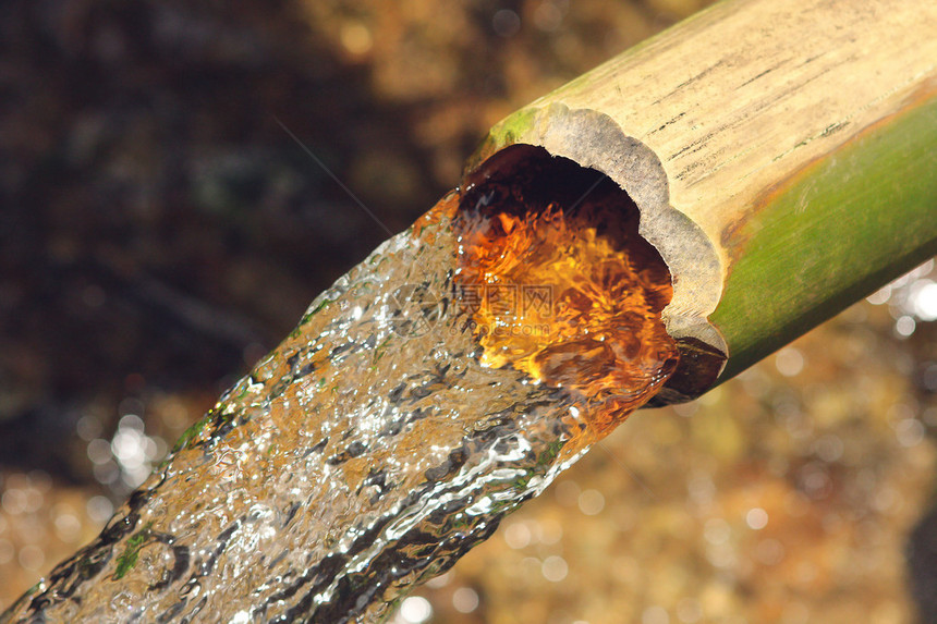 泰国竹水供应图片