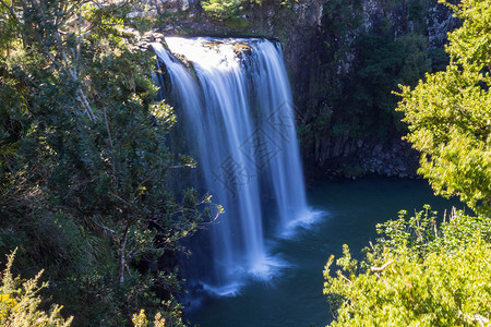 新西兰北部岛屿Whangarei地区森林的大型瀑布图片