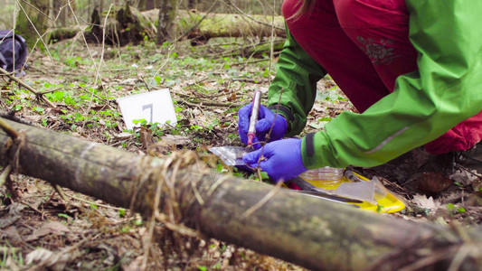 用防护手套关闭女人的手科学家生态学家在森林中采集去年树叶的样本并将其背景图片