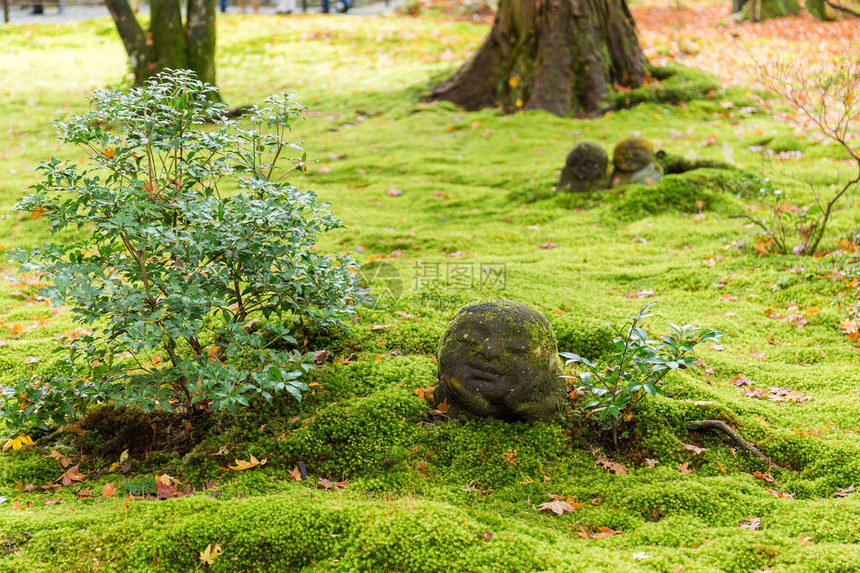 秋天的日本寺庙三津宁图片