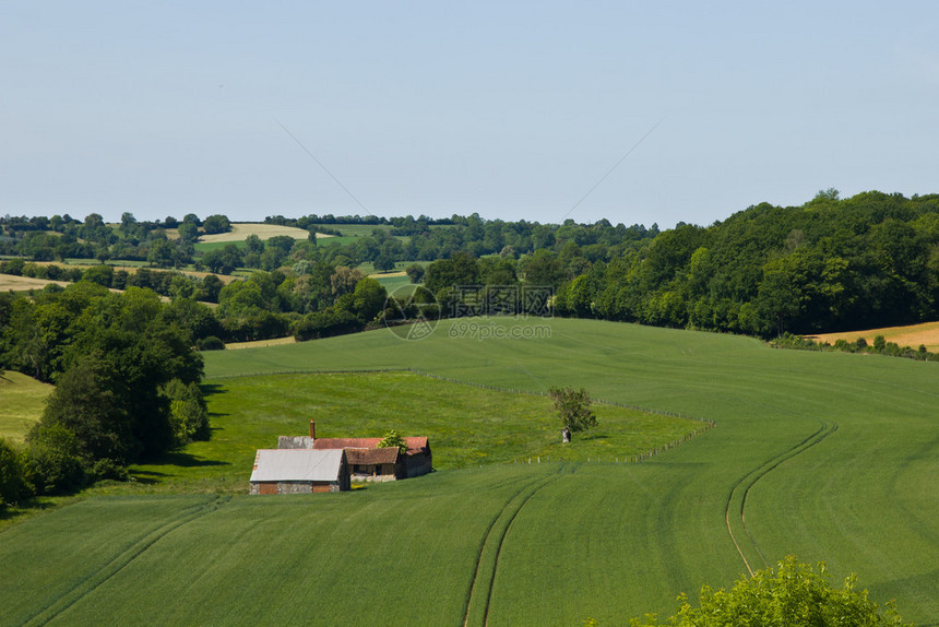 绿色小麦作物中间的法国农场图片