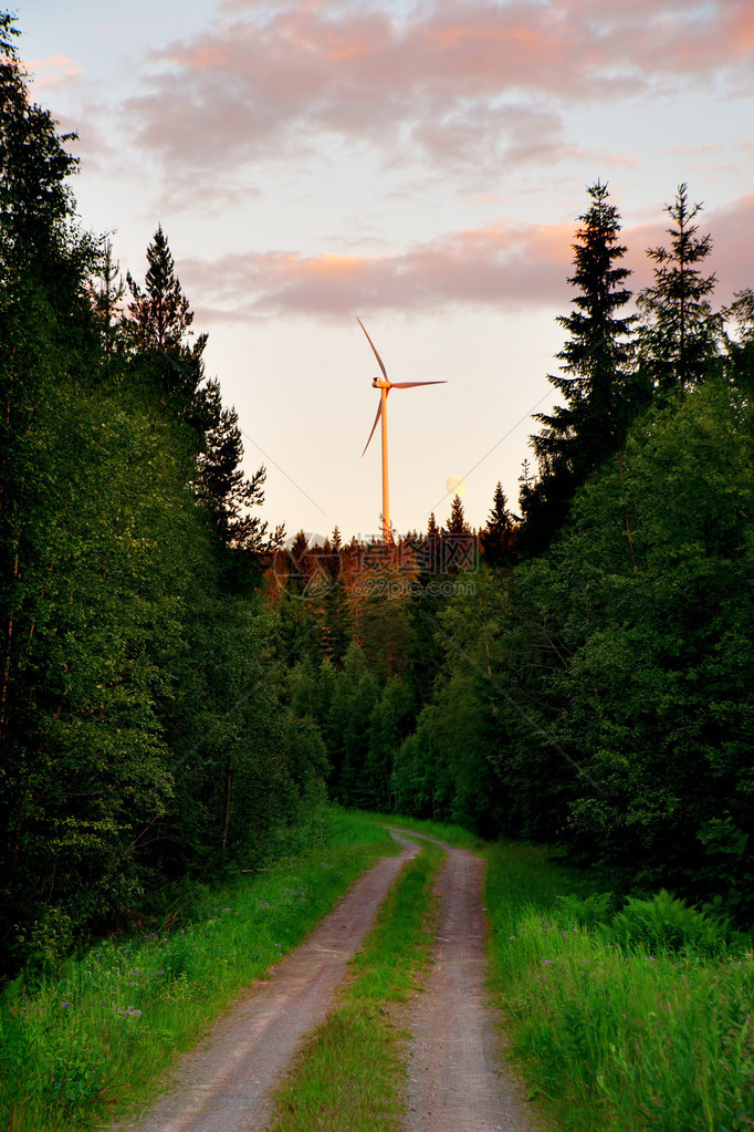 森林地区山顶风力涡轮机图片