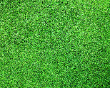 高尔夫绿色草原背景图片