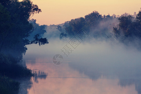 夏季异常的河雾图片