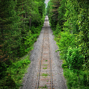 透过绿林的老旧废弃铁路轨背景图片