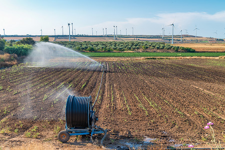 夏季开放乡村的灌溉系统图片