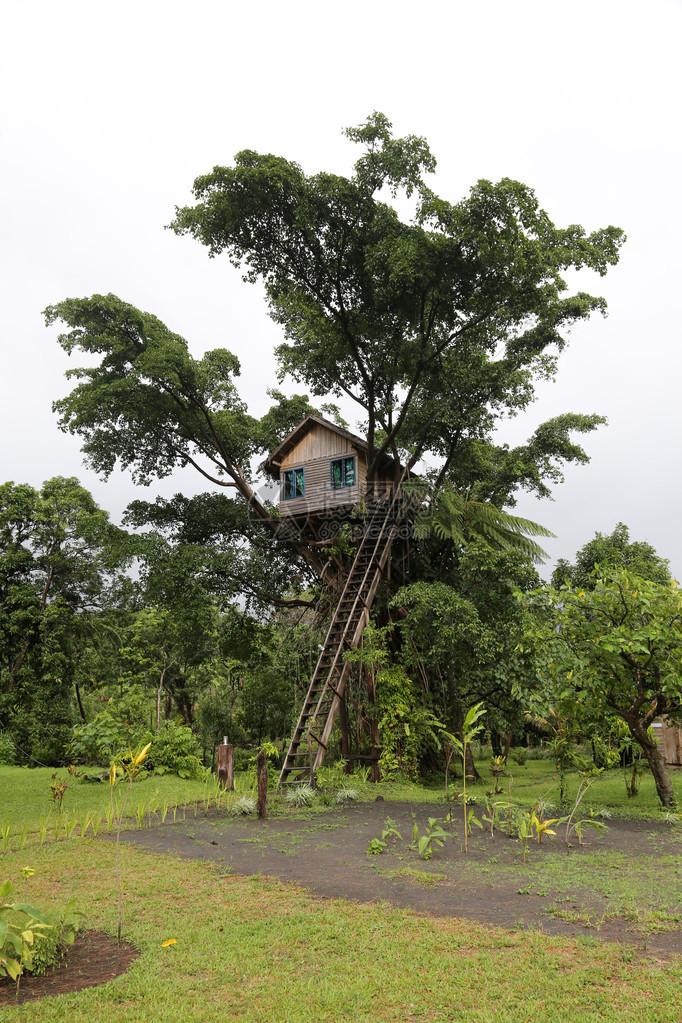 树屋瓦努阿图图片