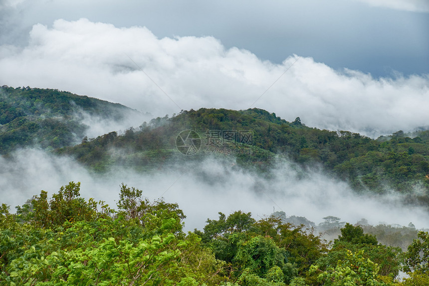 泰国普吉岛热带森林的雨日图片