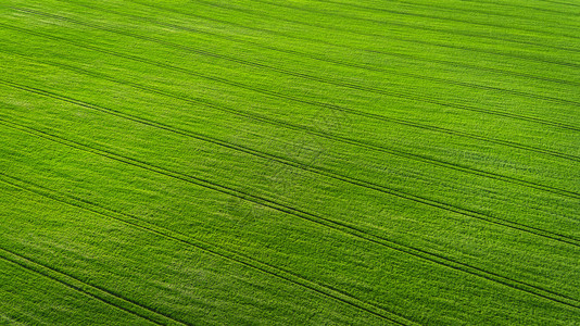 对农业领域的空中观察对农图片