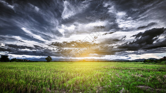 雨前的风暴云全景和田野草甸图片