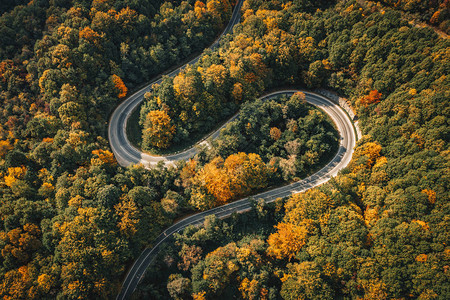 森林中间的极端弯曲道路图片