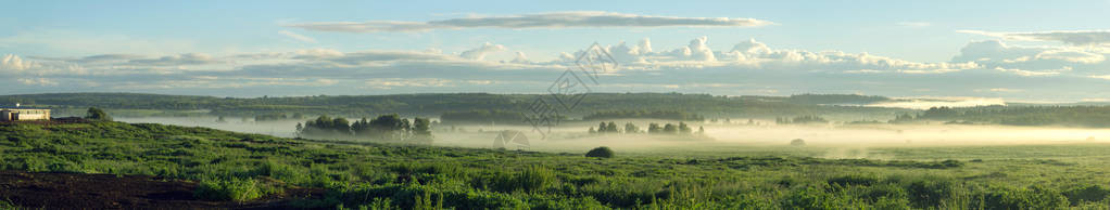 黎明和雾的夏日乡村景观图片
