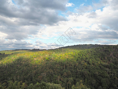 阴天高山的绿色森林景观图片
