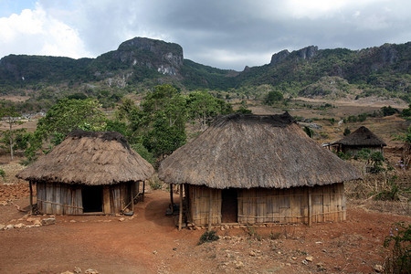 东帝汶南部Viqueque村传统小屋和地背景图片