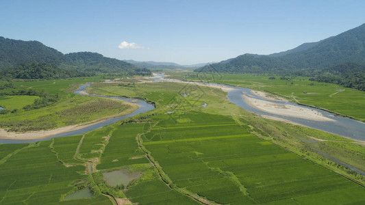 有河流农田稻田的山谷鸟瞰山与绿色热带雨林树木丛林与蓝天菲图片
