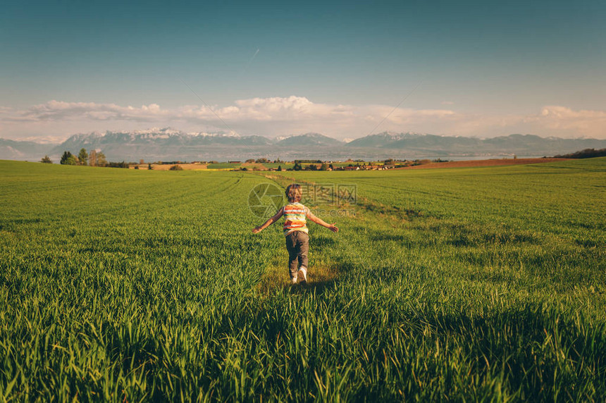 年轻男孩在春麦田奔跑图片