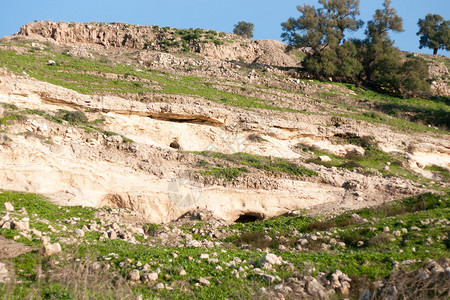自然保护区在以色列旅游活动图片