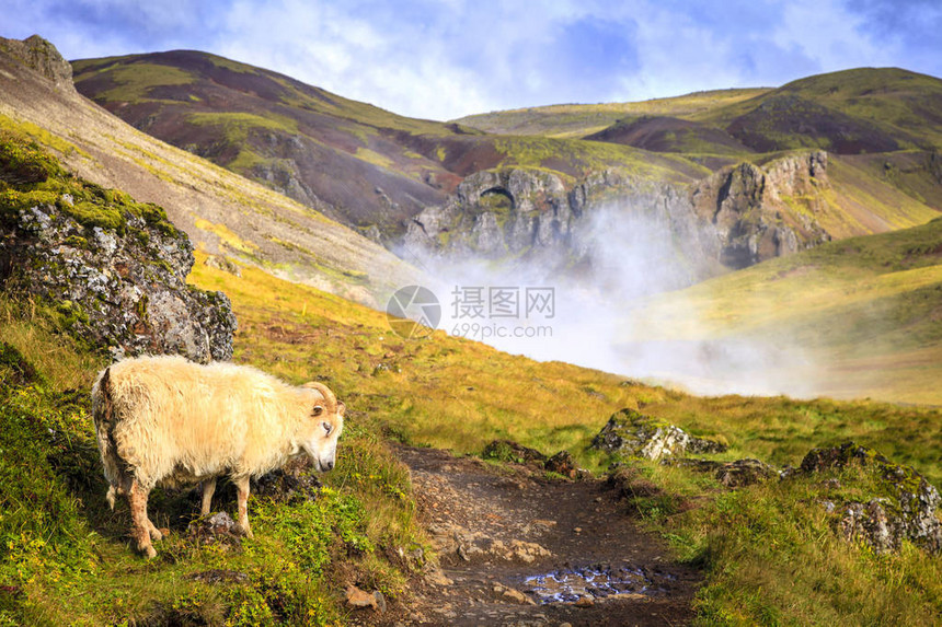 在冰岛南部雷克贾达卢尔河图片