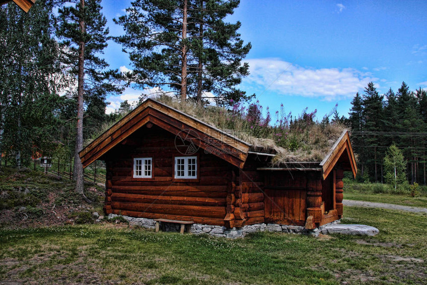 原始的带有草屋顶的木制小屋挪威图片