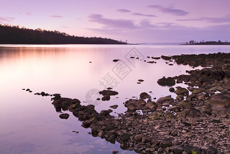 水面上的紫色和粉红色日落图片