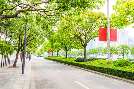 现代城市中的树木装饰道路图片