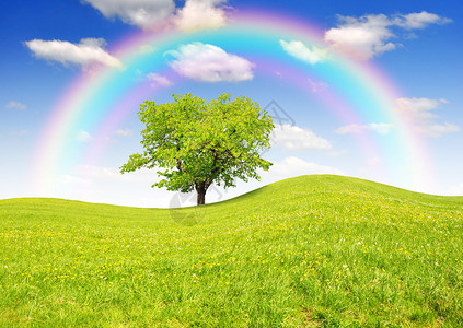 与彩虹和树的春天风景图片