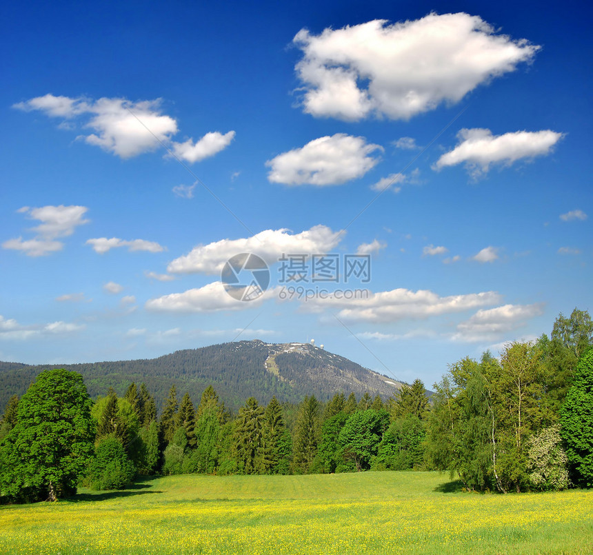 德国巴伐利亚森林公园的春季风景BavarianForestState图片