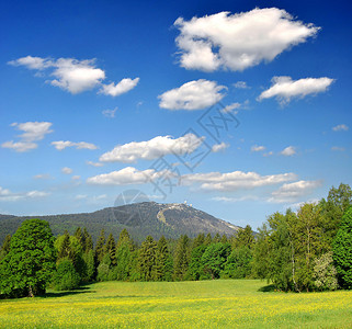 德国巴伐利亚森林公园的春季风景BavarianForestState图片