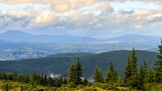 夏季喀尔巴阡山脉景观乌图片